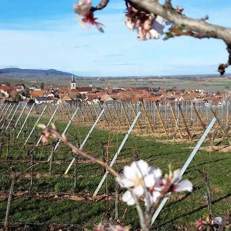 Des Tulipes Nyaraló